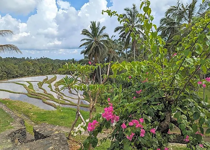 Puri Dajuma Terrace Eco & Blimbing