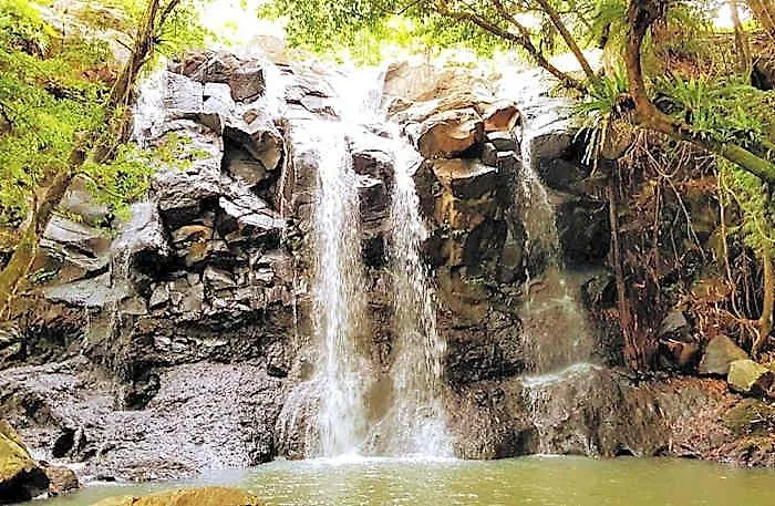 Puri Dajuma Terrace Eco &