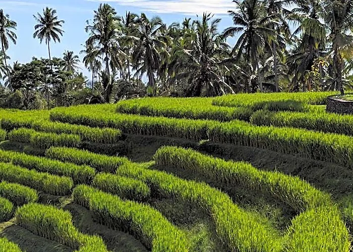 Puri Dajuma Terrace Eco & Resort Blimbing (Bali)