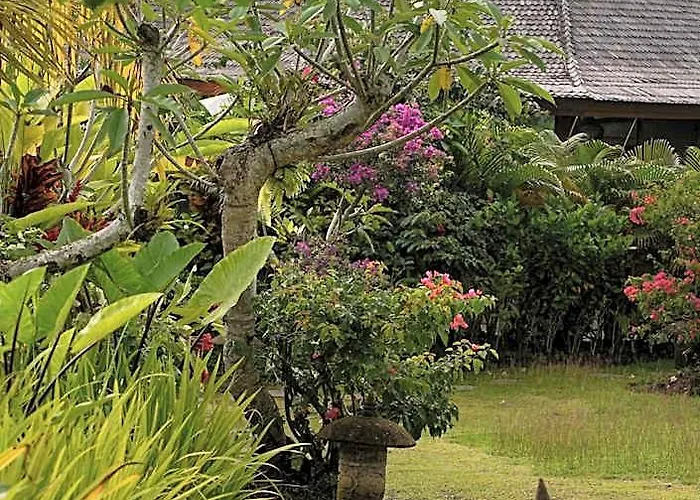 Puri Dajuma Terrace Eco & Blimbing (Bali)