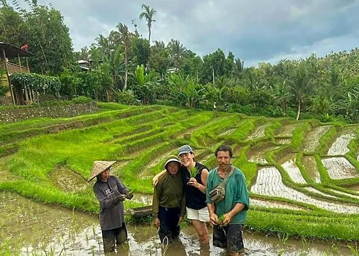 Puri Dajuma Terrace Eco &