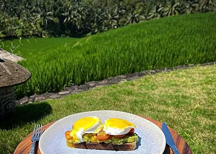 Resort Puri Dajuma Terrace Eco &